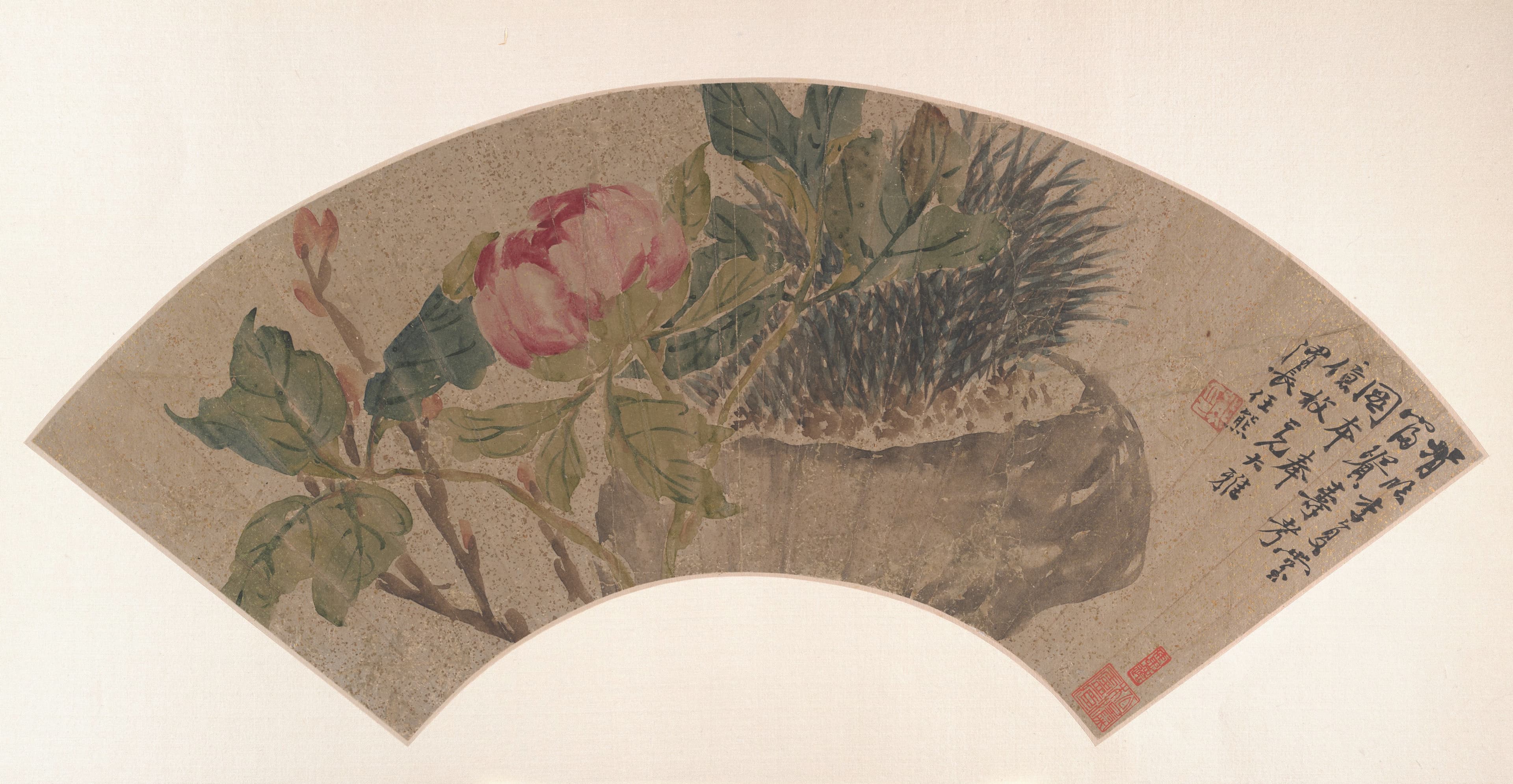 牡丹圖，清代，大都會博物館藏